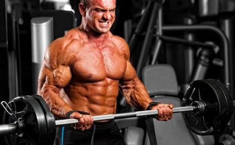 El impacto de Proteínas en el cuerpo Flexiones de bíceps