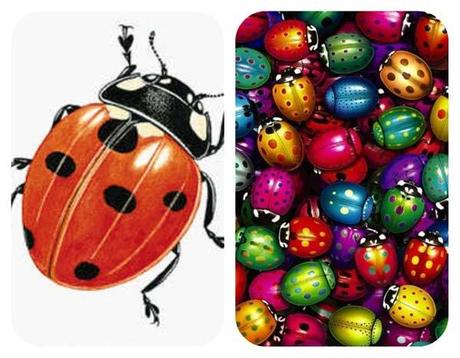 MANICURA DE LA SEMANA: LADY BUG