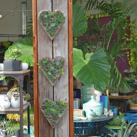 Cómo decorar con jardines verticales.