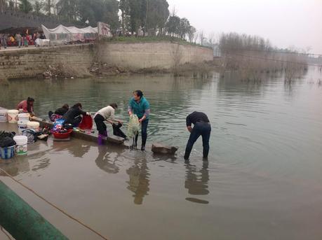 La Pagoda de Shibao. Zhongxian. China.
