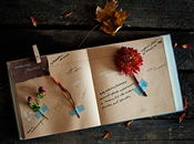 Cartulinas colores cientos sonrisas