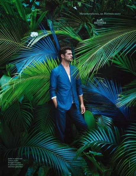 Metamorfosis, Hermès SS 2014