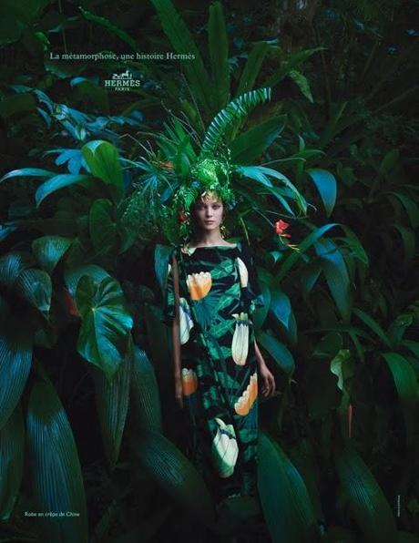 Metamorfosis, Hermès SS 2014