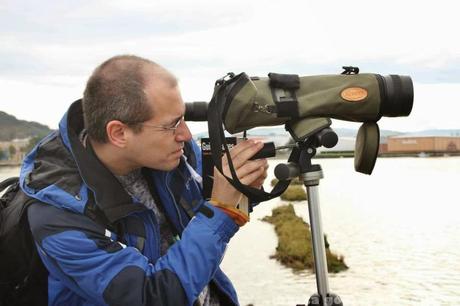 PATRIMONIO DE LAREDO