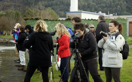 PATRIMONIO DE LAREDO