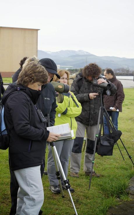 PATRIMONIO DE LAREDO