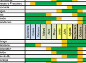 Calendario Frutas temporada