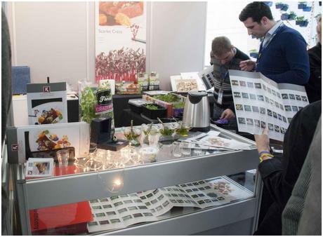 Fusión2014madrid001_28