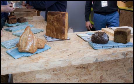 Fusión2014madrid001_20