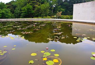 Jardín de piedra y agua