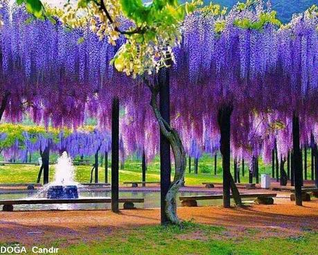 1176406_793333080692734_553183733_n