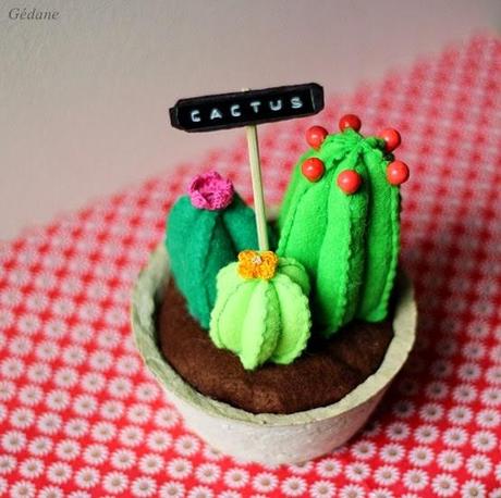 Cactus