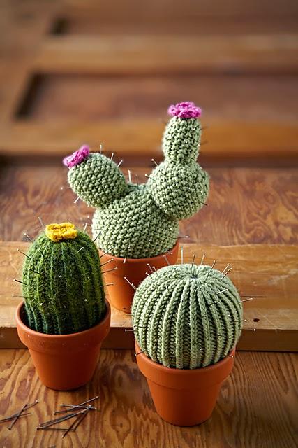 Cactus