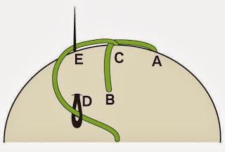 Un patrón de bordado de regalo / Free embroidery pattern