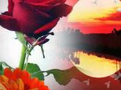 preguntan estoy enamorado...