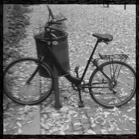 Diciembre instagramizado