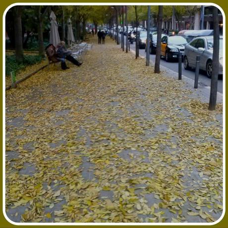 Diciembre instagramizado