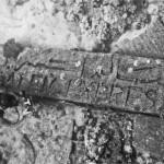 3460700246_45f5509df7_b