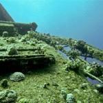 3459880477_af22cd9f77_b