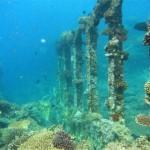 3311896387_ff8438135a_b