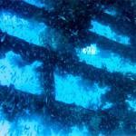 349176890_1481a3183d_b