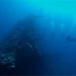 9016978333_cebce0cba1_b