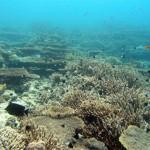 3312726964_f6729f714e_b