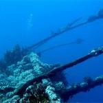 349181211_d47556216a_b