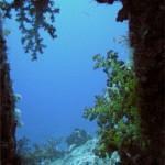 4208508314_81dc0ceb9d_b