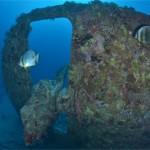 8461492118_f789e32df1_b