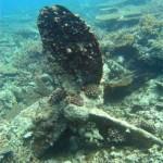 3311898897_e61bdcb0e7_b