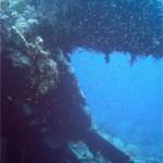 4207740321_ce2fd75929_b