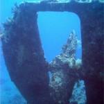 4207742959_799c02538f_b