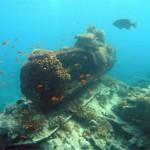 3311895519_f03327d3e0_b