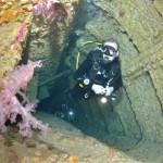 8460435823_29996d3213_b