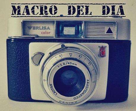 Blog hop, macro del dia ... agujas de ganchillo