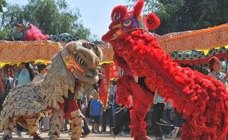 ¡Feliz Año del Caballo de Madera!