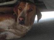 DUKE, calle cada deteriorado, Cádiz