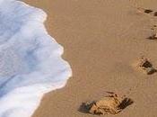 Seguir, seguir seguir, encima todo para conseguir quieres