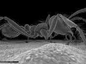 "Viaje Biodiversidad" exposición Planetario Digital Madrid