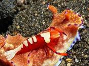 'Bajo Mar' exposición Fundación Mutua Madrileña