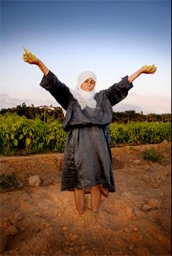 El árbol de la dignidad