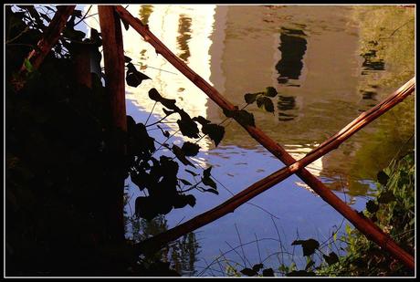 Reflejos de agua Lago balneario termas Pallarés Galería Fotográfica semanal de Leander Starr Jameson