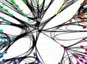 mapa cerebro detallado mundo