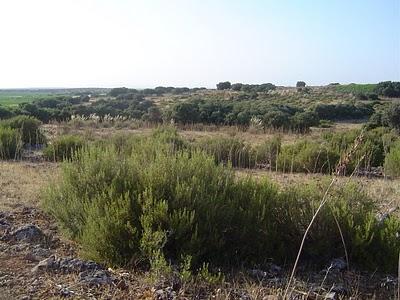 Primer año de este cuaderno