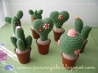 DECORAR CON CACTUS