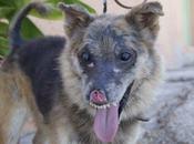 Novedades Vive, 31-08