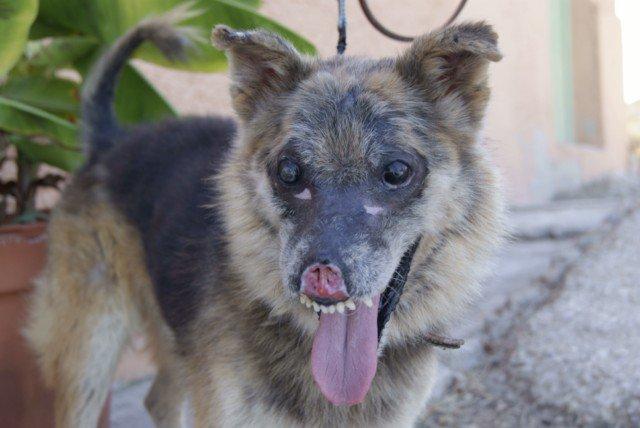 Novedades de Vive, 31-08 :)