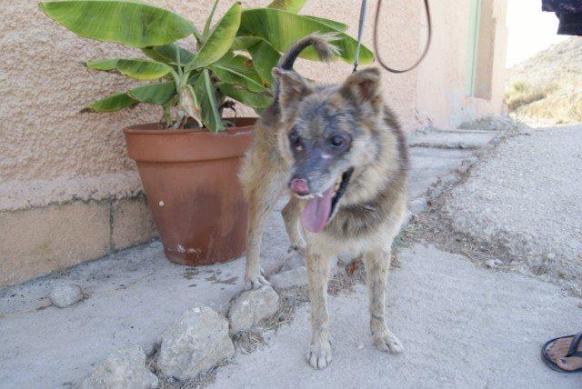 Novedades de Vive, 31-08 :)