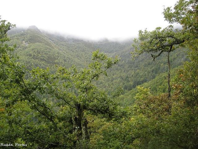 Sobre nuestros hábitats